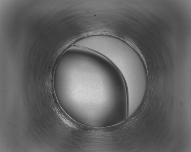 X0000081460389200701121047