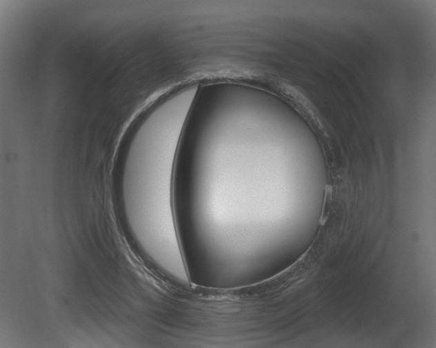 X0000081460395200701121047