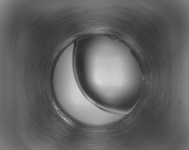 X0000081460397200701121047