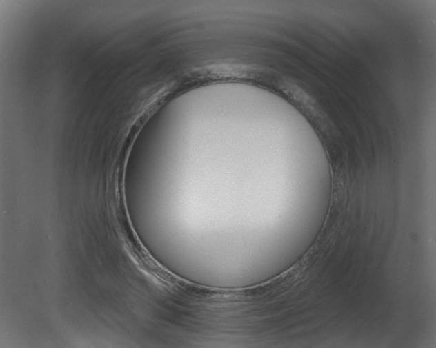 X0000081460398200701121047