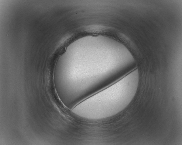 X0000081460400200701121047