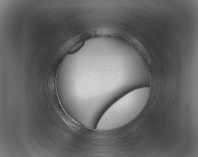X0000081460401200701121047