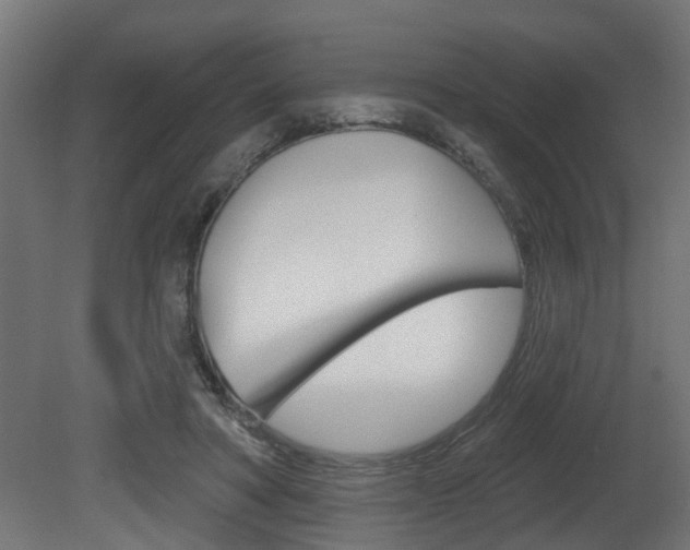 X0000081460402200701121047