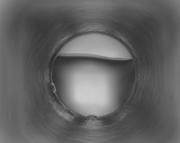 X0000081460403200701121047