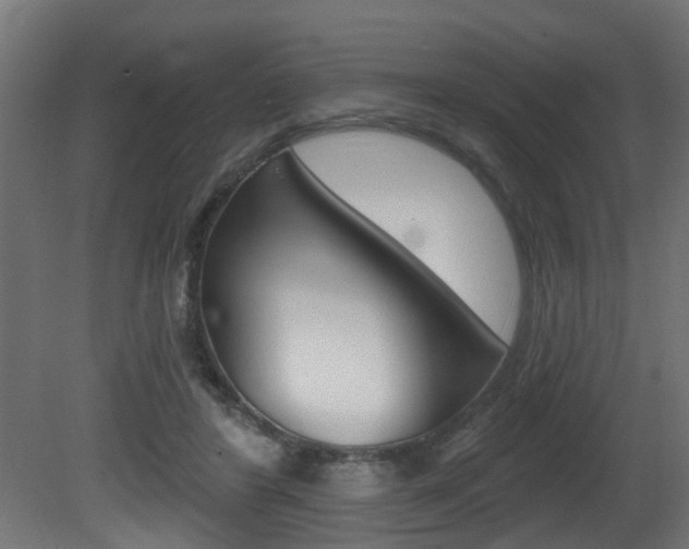 X0000081460404200701121047