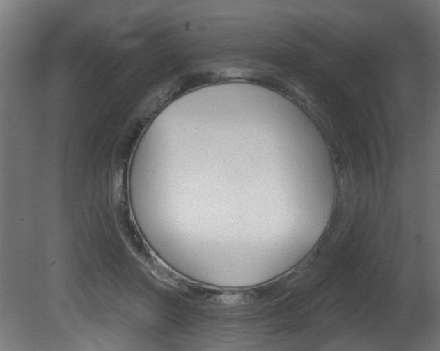 X0000081460406200701121047