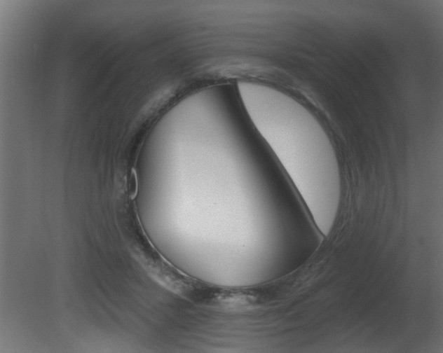 X0000081460407200701121047