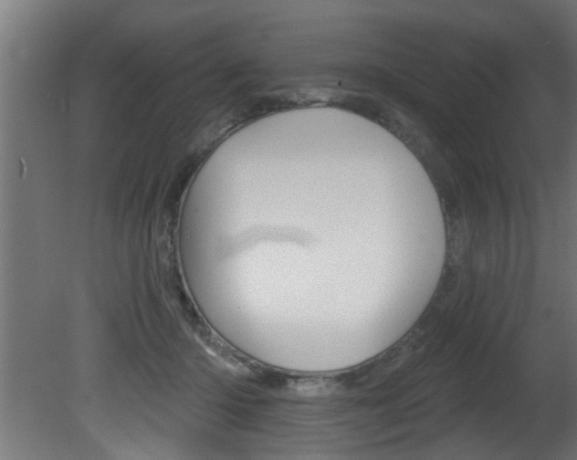X0000081460414200701121046