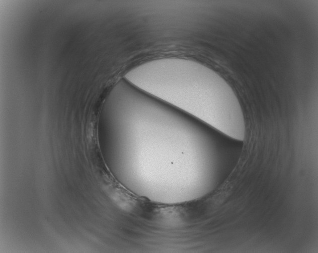 X0000081460417200701121046