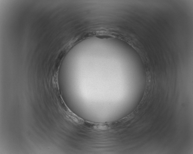 X0000081460419200701121046