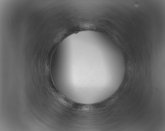 X0000081460420200701121046