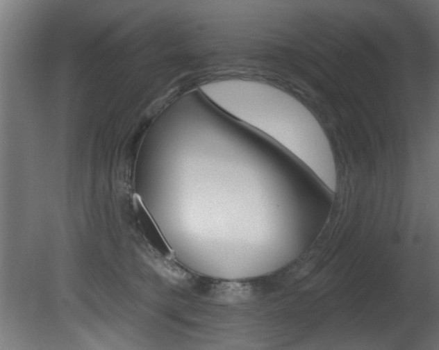 X0000081460421200701121046