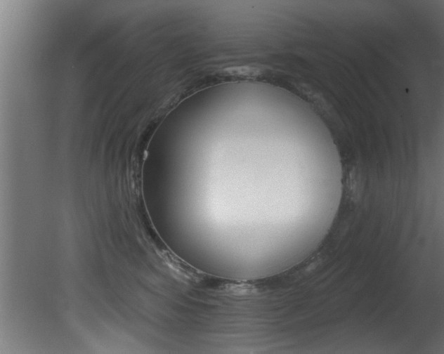 X0000081460424200701121046