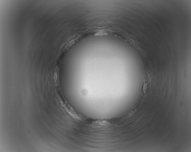 X0000081460427200701121046