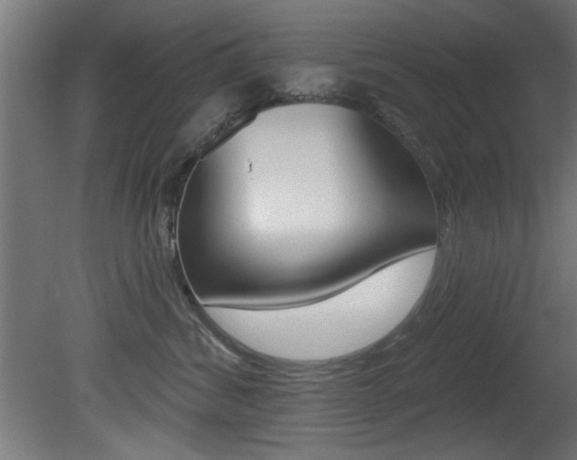 X0000081460428200701121046