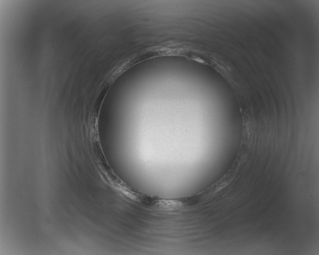X0000081460429200701121046