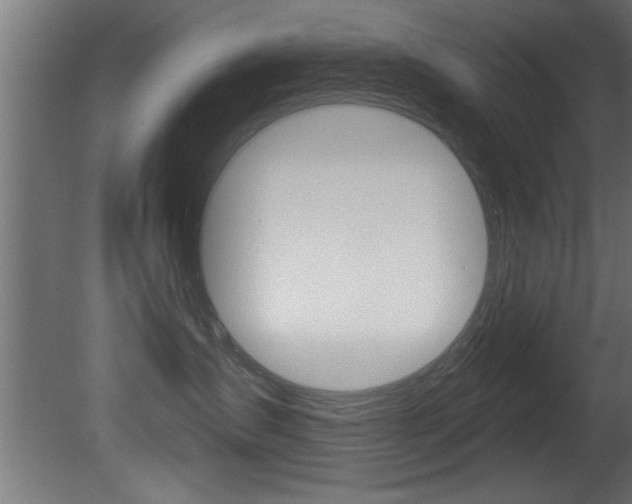 X0000081460431200701121046