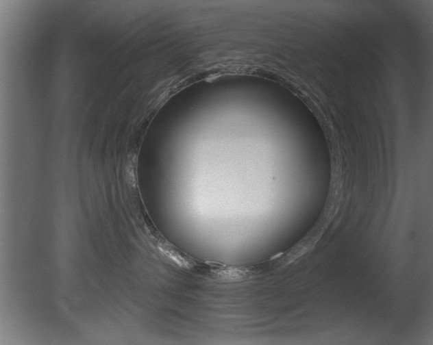 X0000081460432200701121046
