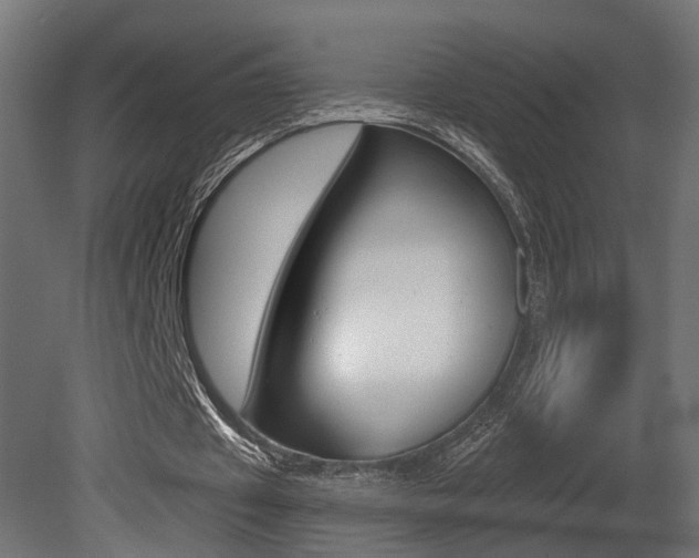X0000081460433200701121045