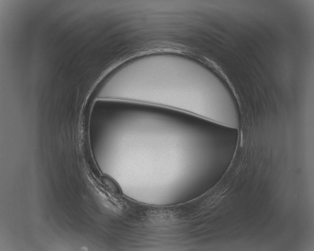 X0000081460435200701121045