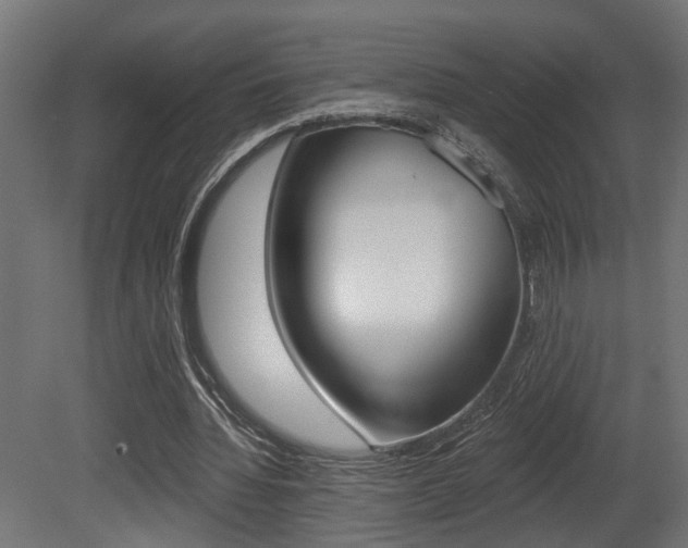 X0000081460436200701121045