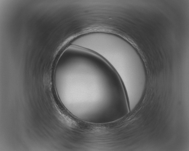 X0000081460438200701121045