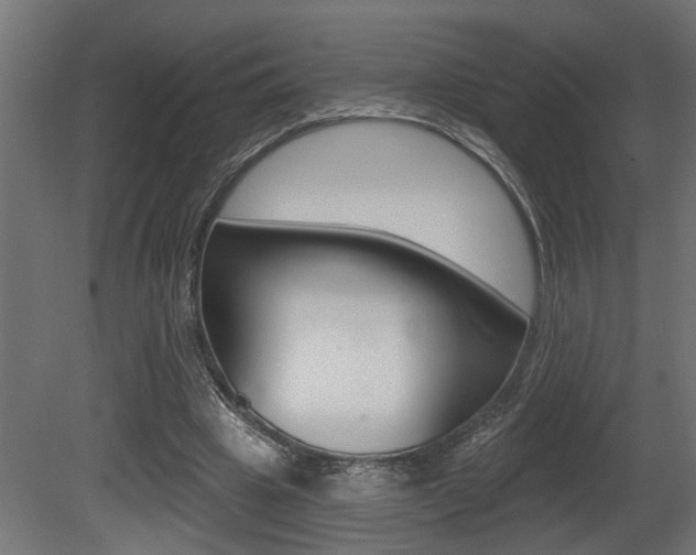 X0000081460441200701121045