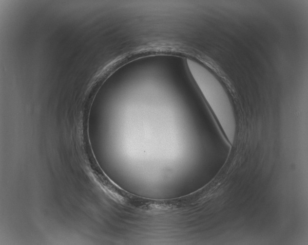 X0000081460442200701121046