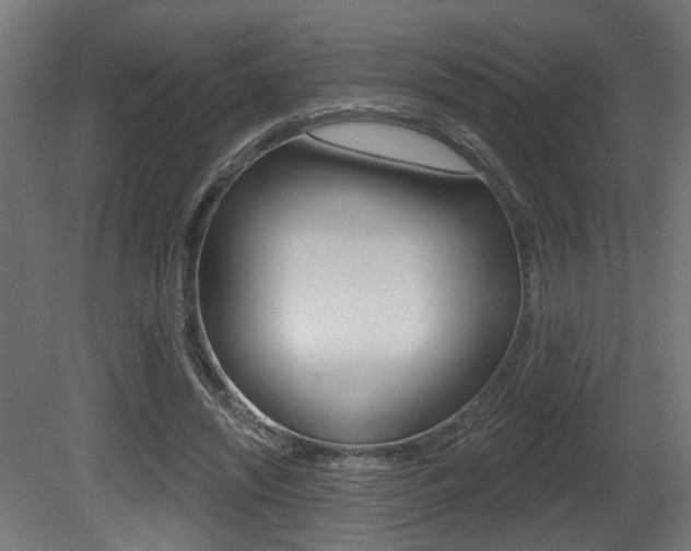 X0000081460444200701121046