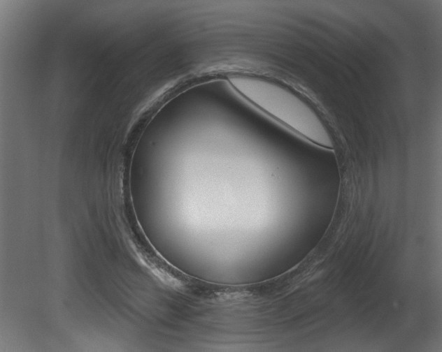 X0000081460446200701121046