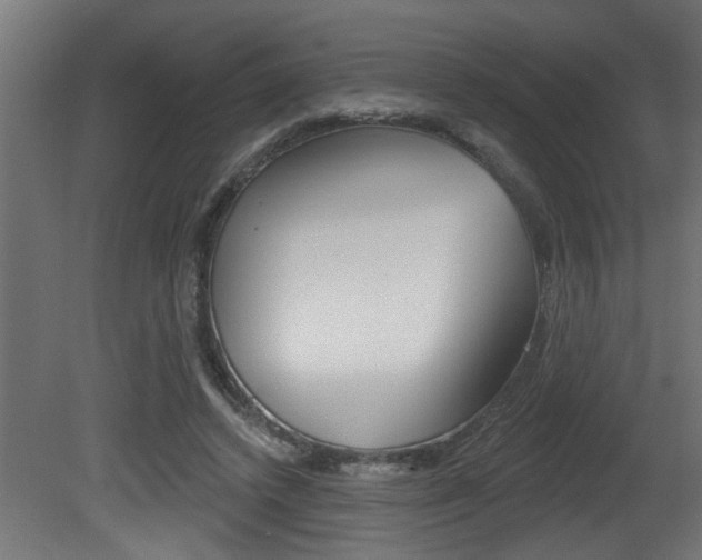 X0000081460448200701121046
