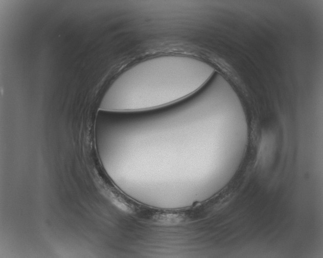 X0000081460449200701121046