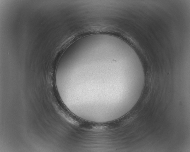 X0000081460450200701121046