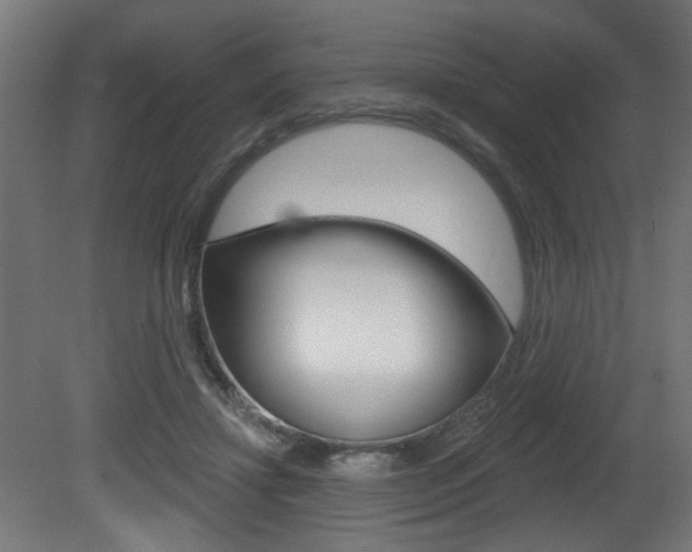 X0000081460452200701121046