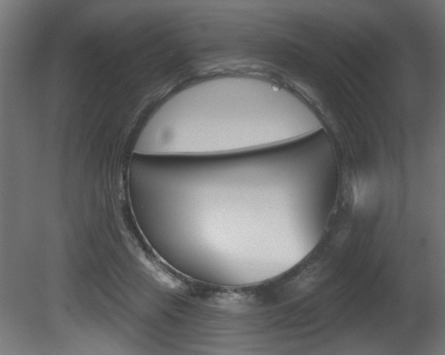 X0000081460453200701121046
