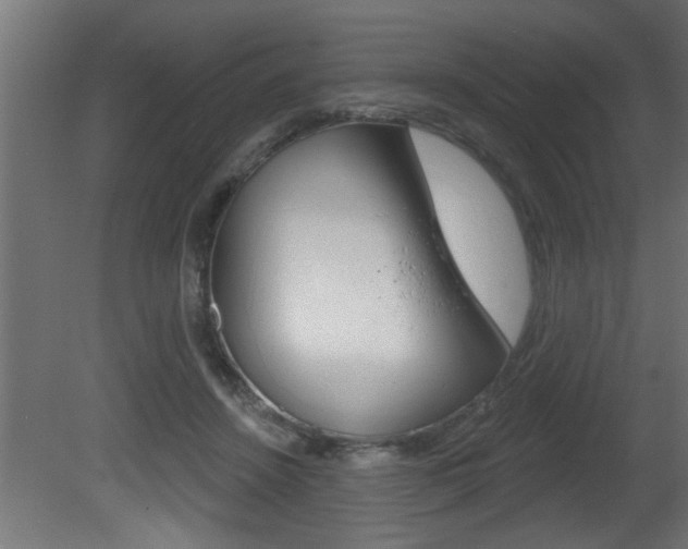 X0000081460456200701121046