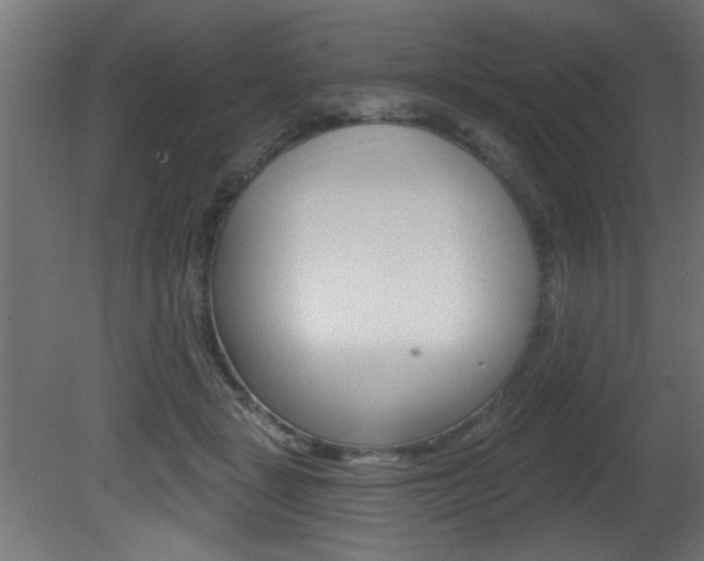 X0000081460461200701121046