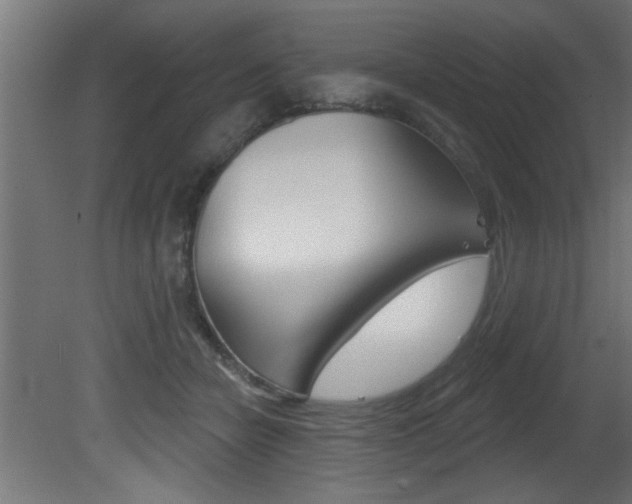 X0000081460462200701121046