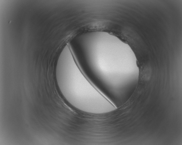 X0000081460474200701121046