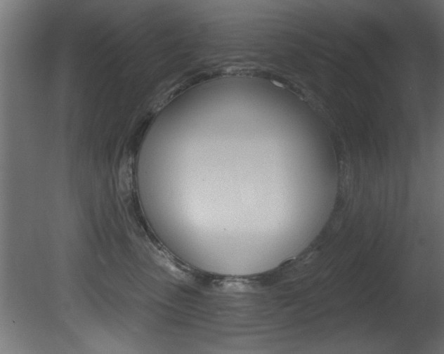 X0000081460475200701121046