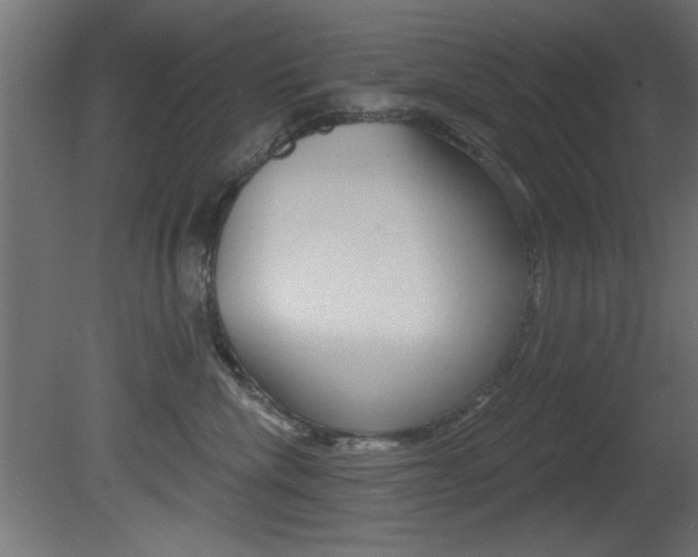 X0000081460476200701121046