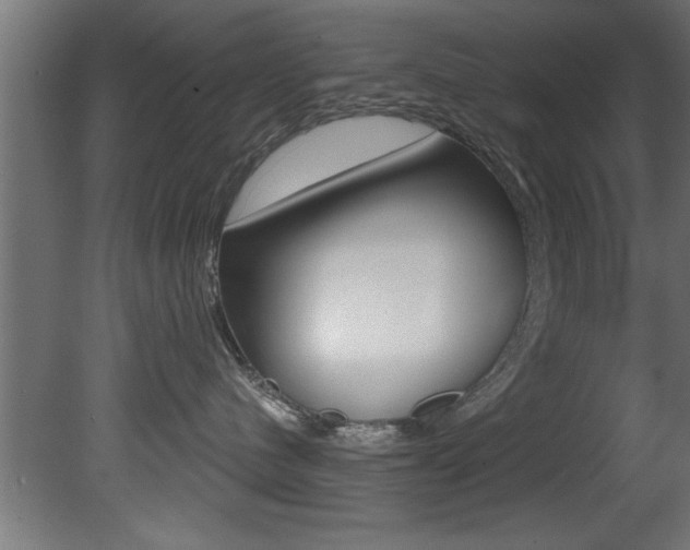 X0000081460480200701121046