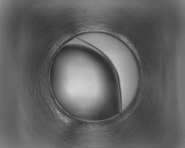 X0000081460481200701121045