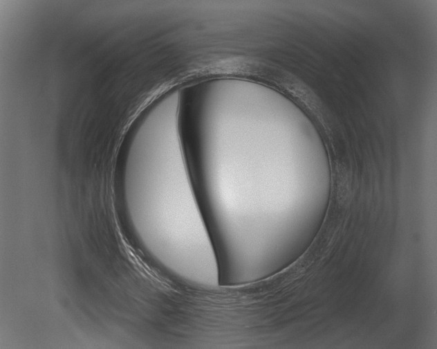 X0000081460482200701121045