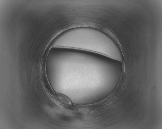 X0000081460483200701121045