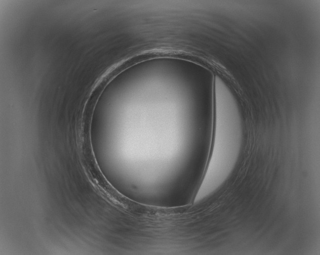 X0000081460484200701121045