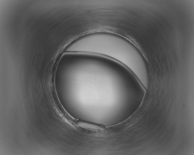 X0000081460485200701121045
