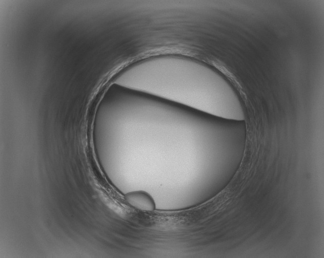 X0000081460486200701121045