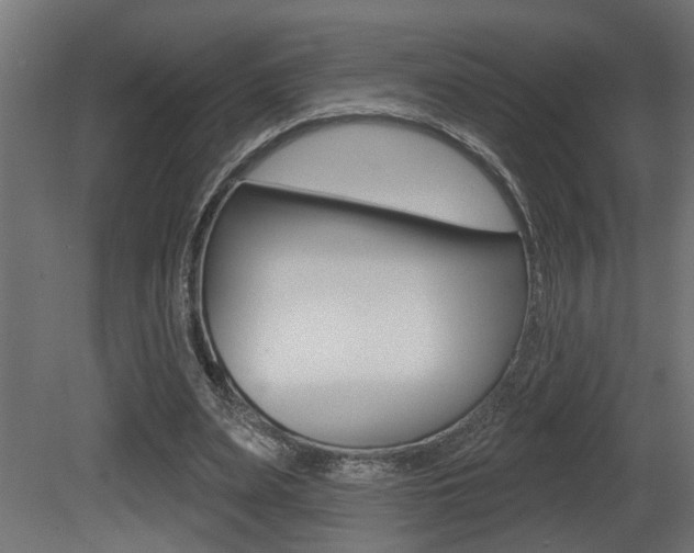 X0000081460487200701121045