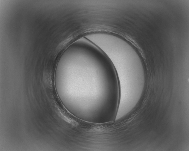 X0000081460489200701121045